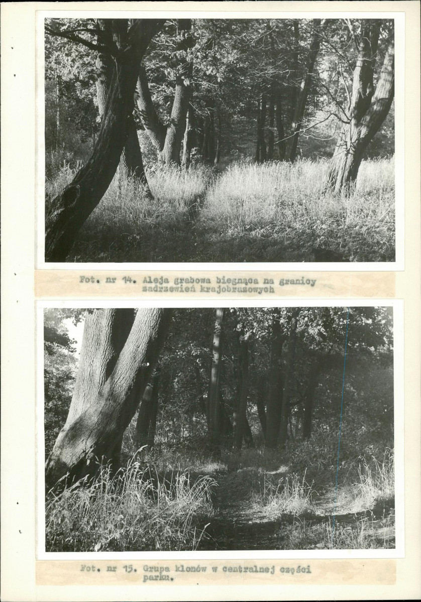 Ewidencja parkowa, skan nr 44