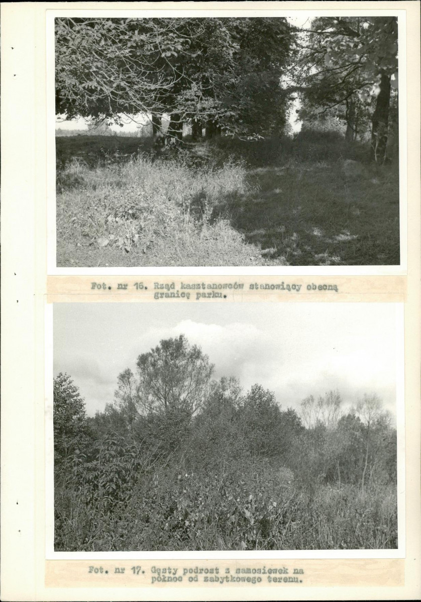 Ewidencja parkowa, skan nr 45