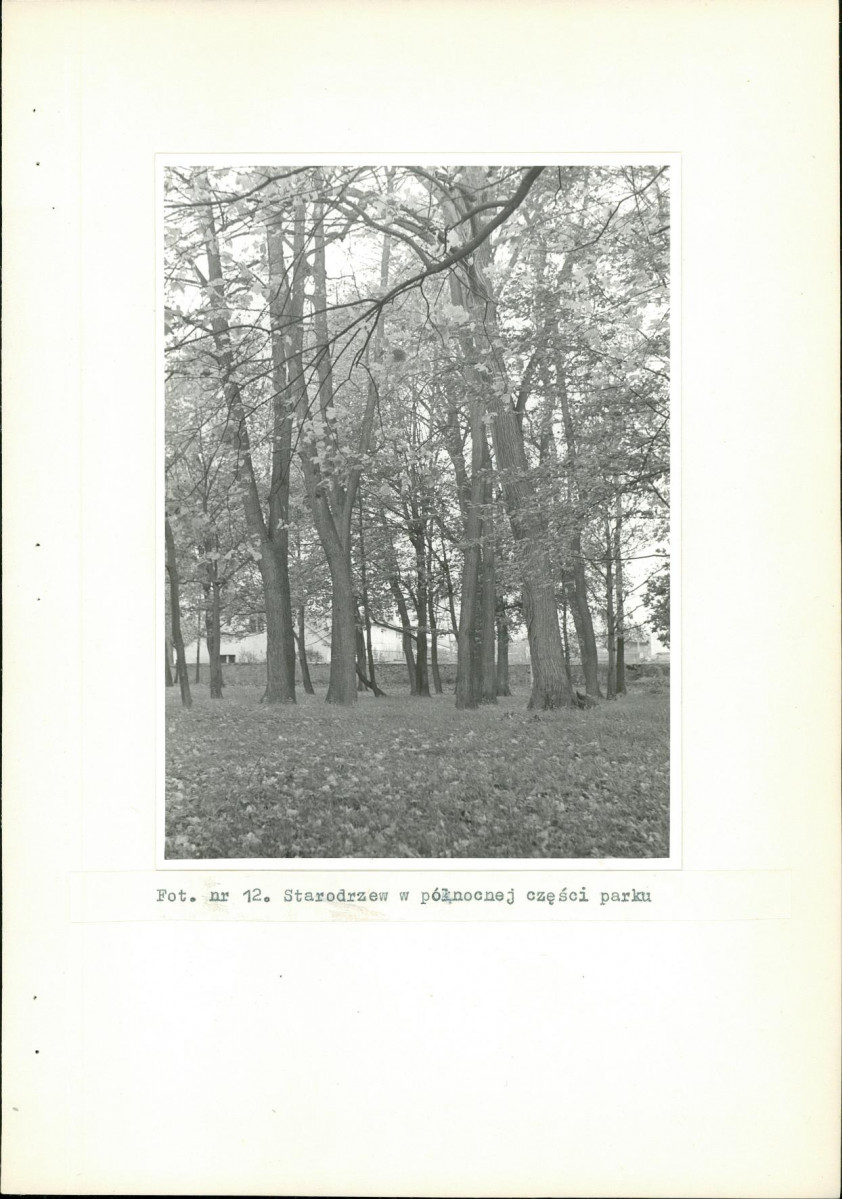 Ewidencja parkowa, skan nr 33