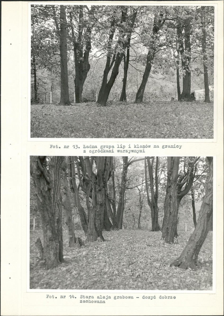 Ewidencja parkowa, skan nr 34
