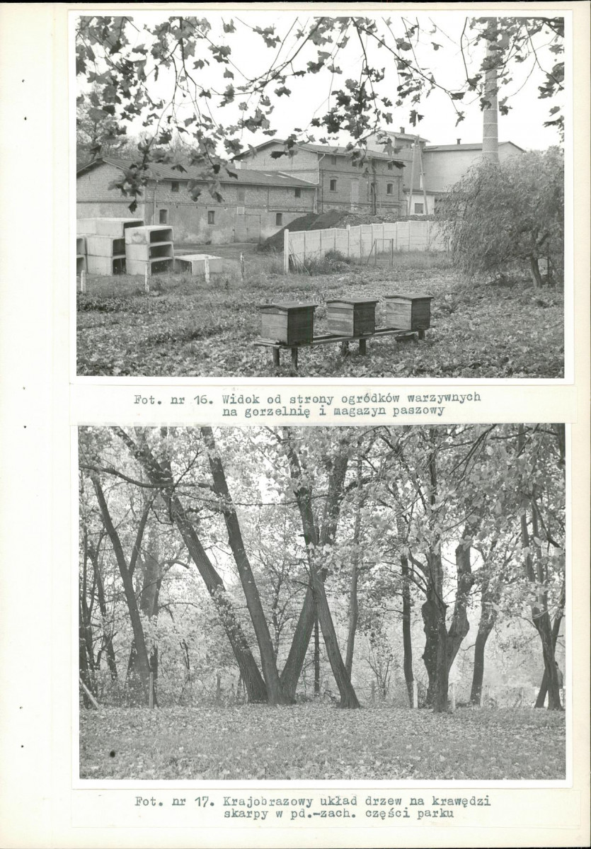 Ewidencja parkowa, skan nr 36