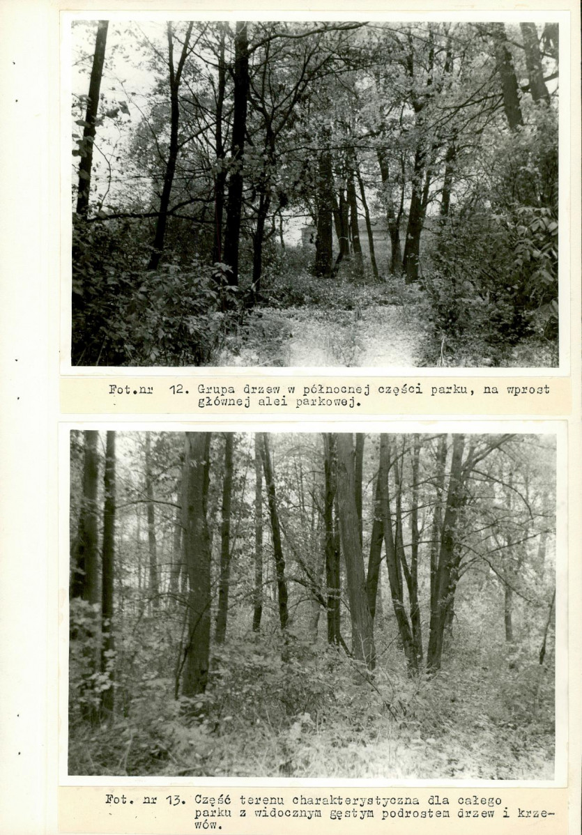 Ewidencja parkowa, skan nr 31