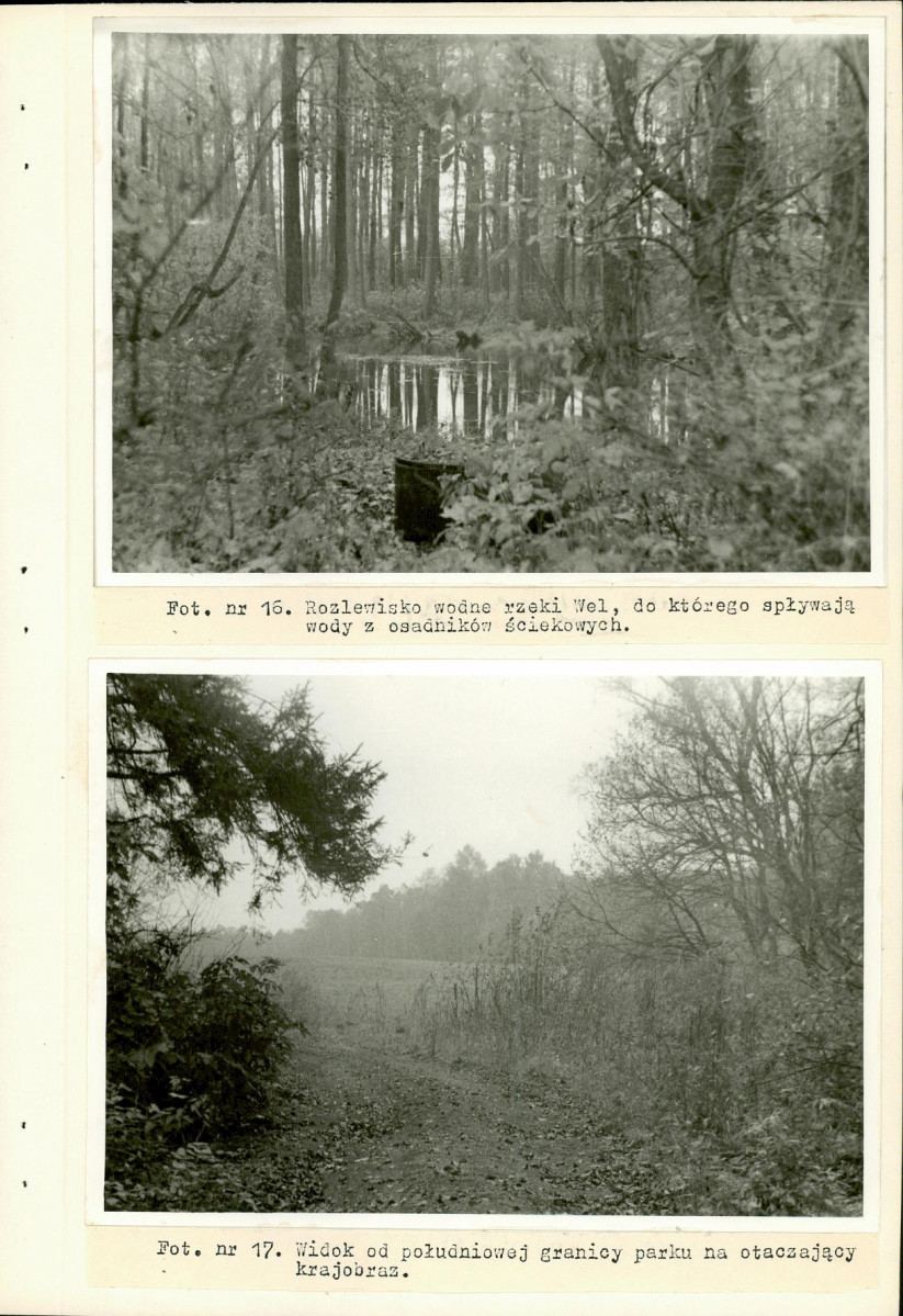 Ewidencja parkowa, skan nr 34
