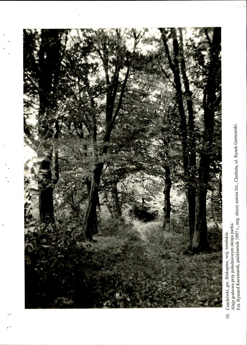 EP - Ewidencja parkowa, skan nr 48