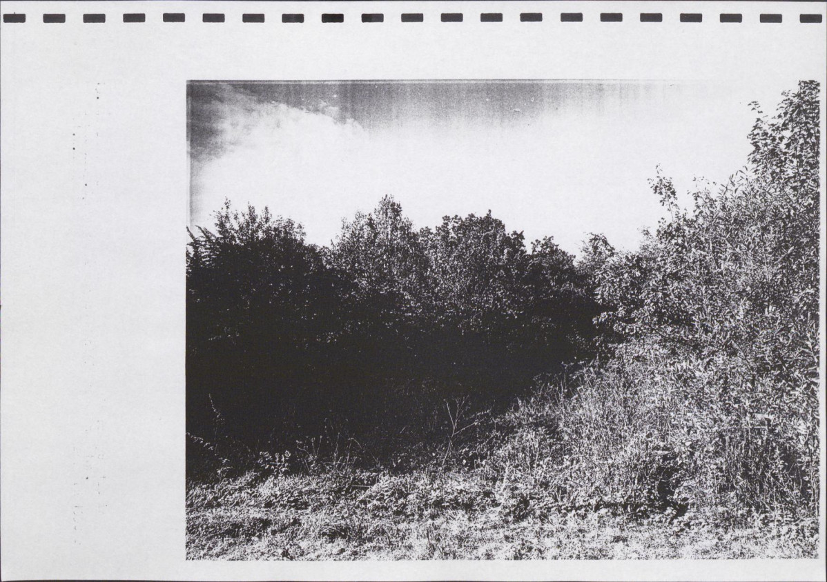 Ewidencja parkowa, skan nr 49
