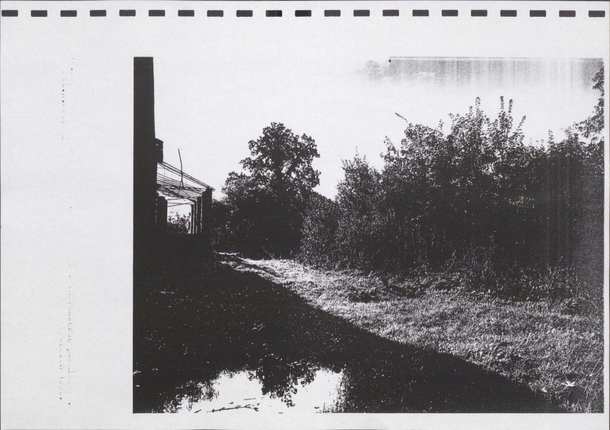 Ewidencja parkowa, skan nr 50