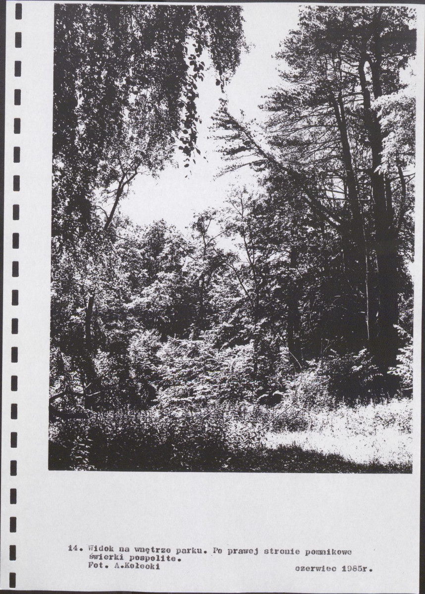 Ewidencja parkowa, skan nr 38