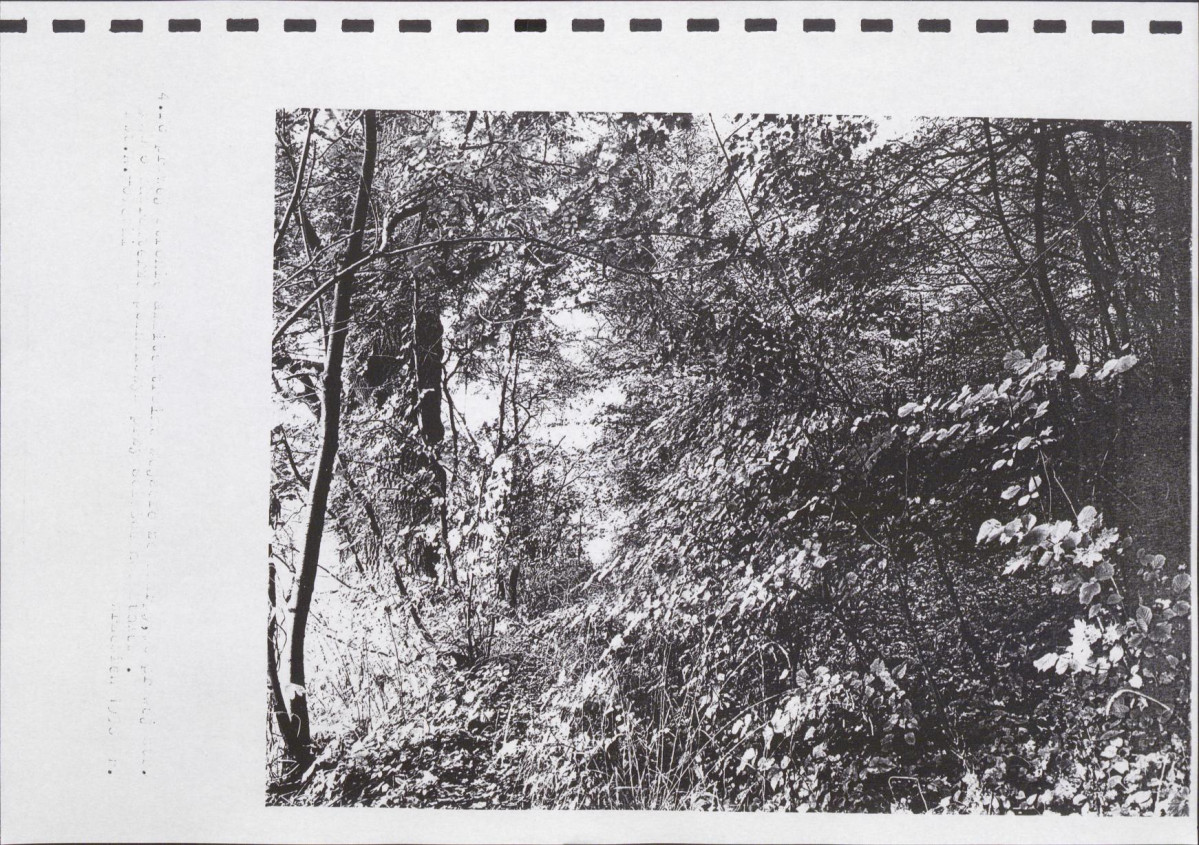 Ewidencja parkowa, skan nr 60