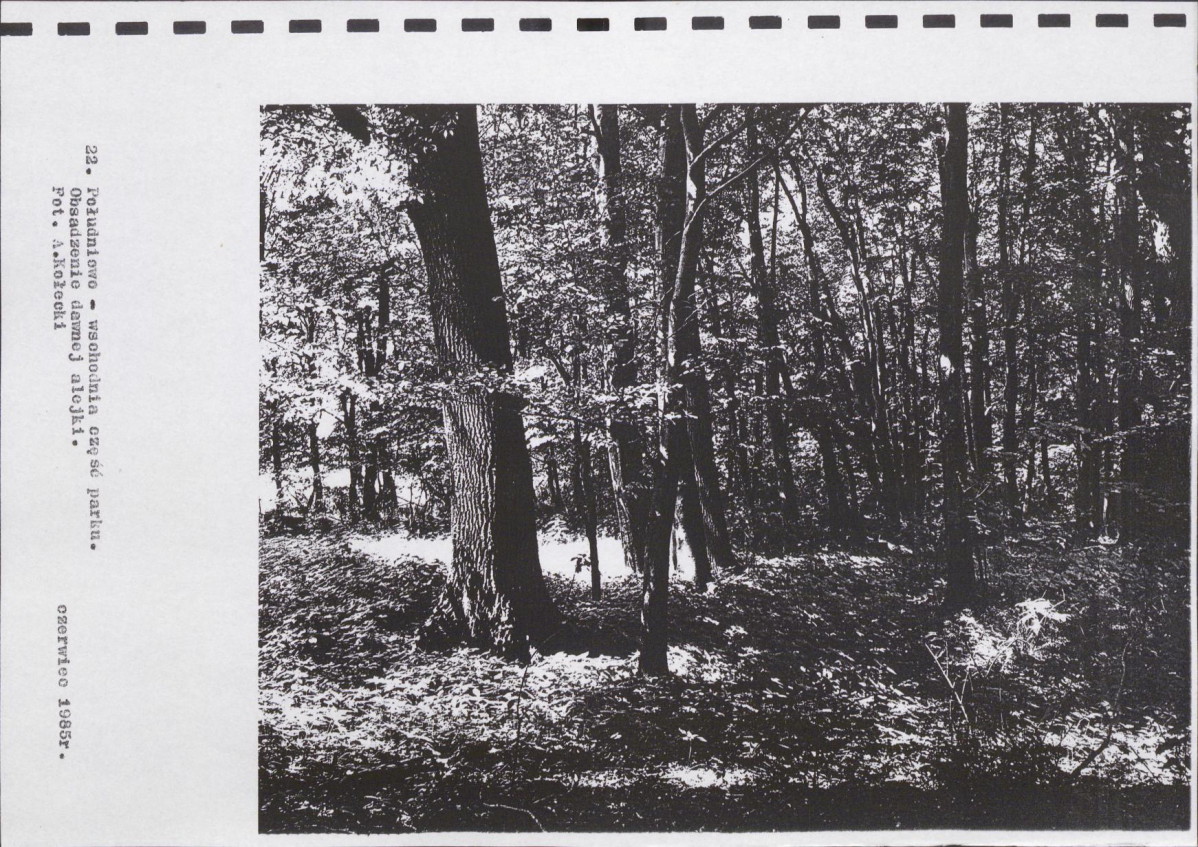 Ewidencja parkowa, skan nr 46