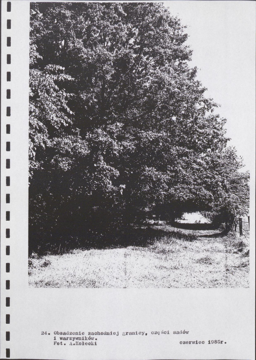 Ewidencja parkowa, skan nr 48