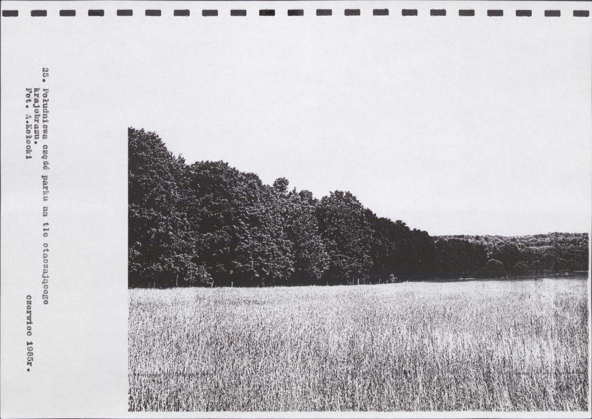 Ewidencja parkowa, skan nr 49