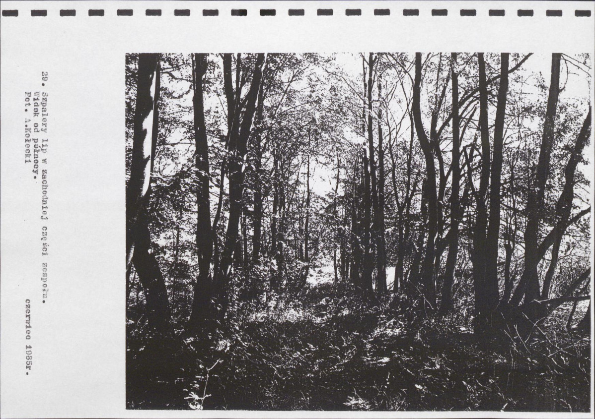 Ewidencja parkowa, skan nr 52