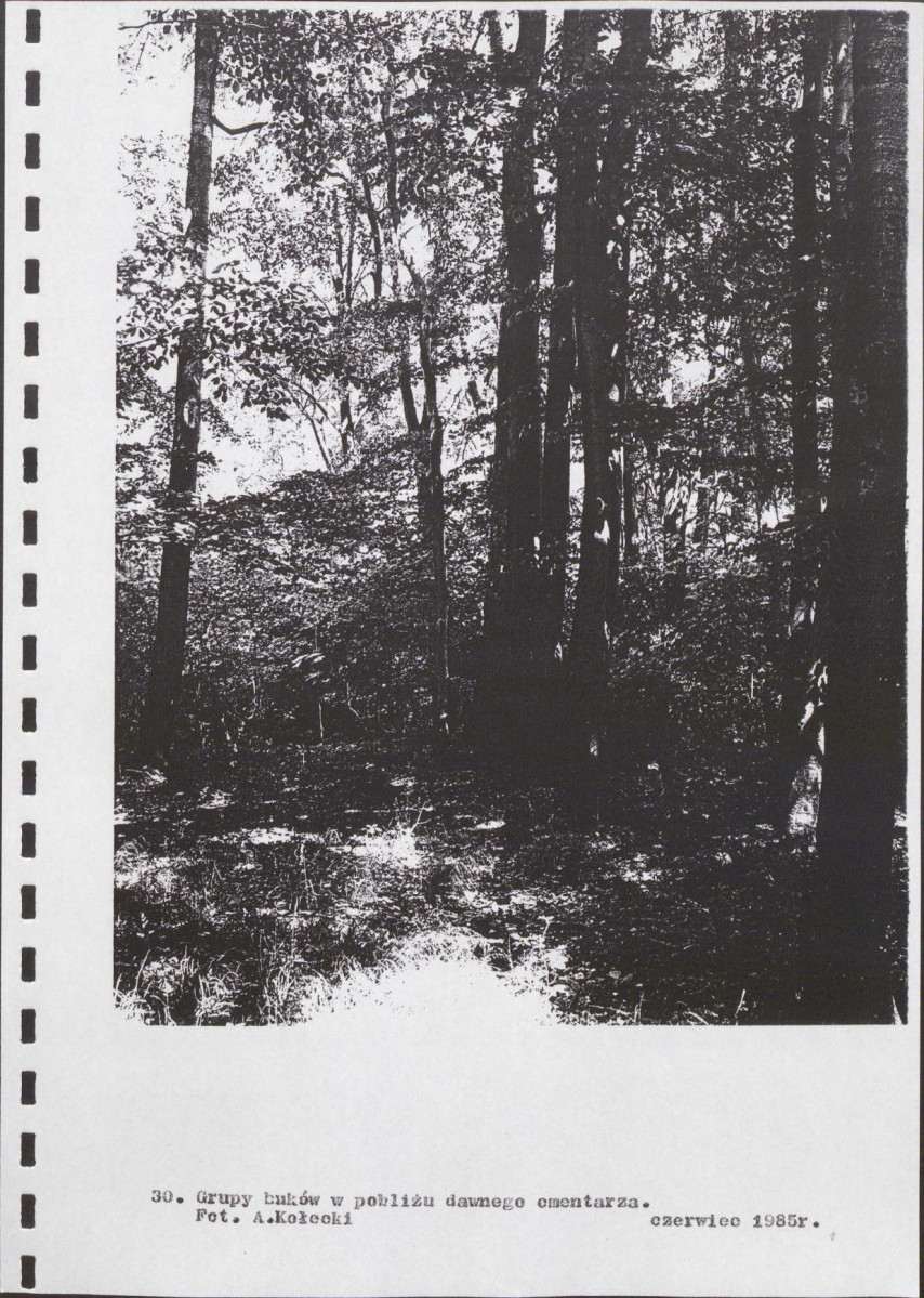 Ewidencja parkowa, skan nr 53
