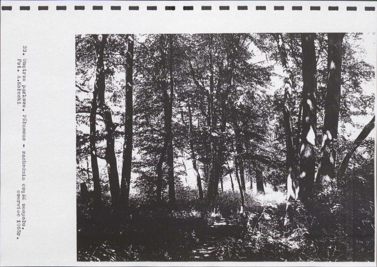 Ewidencja parkowa, skan nr 56