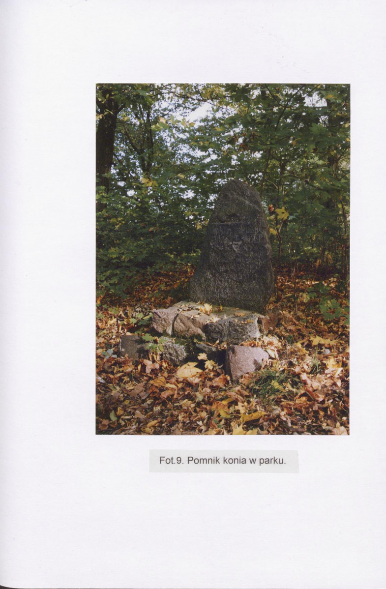 Ewidencja parkowa, skan nr 31