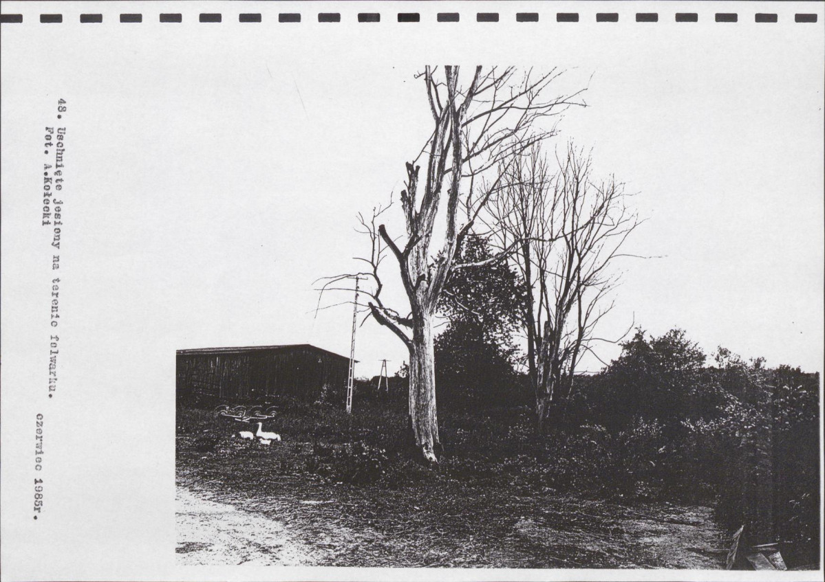 Ewidencja parkowa, skan nr 68