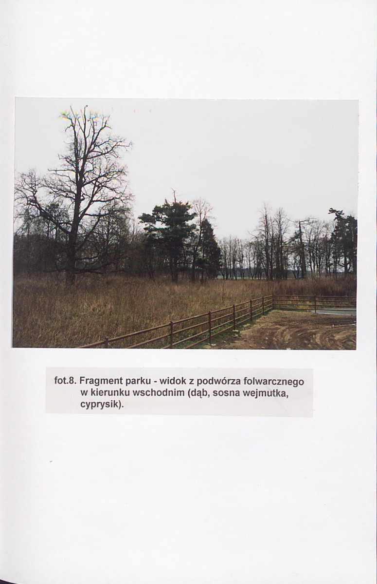 EP - Ewidencja parkowa, skan nr 53
