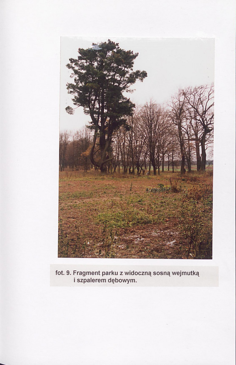 EP - Ewidencja parkowa, skan nr 54