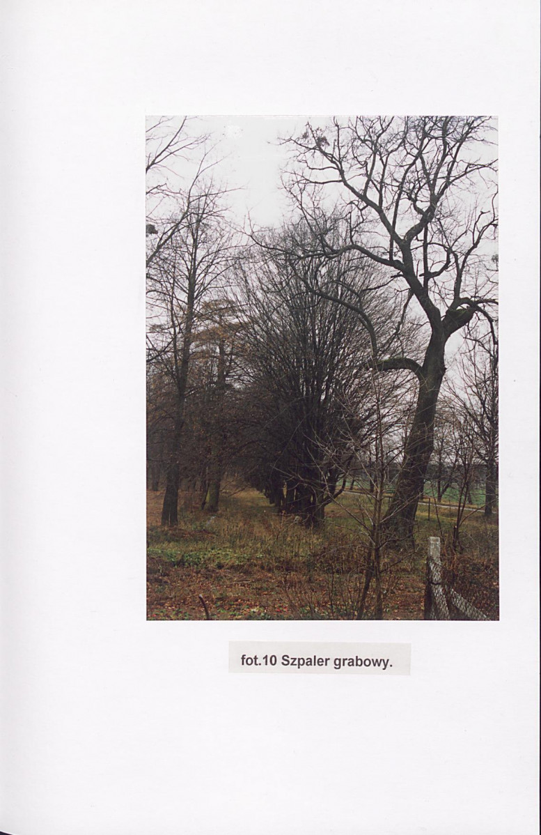 EP - Ewidencja parkowa, skan nr 55