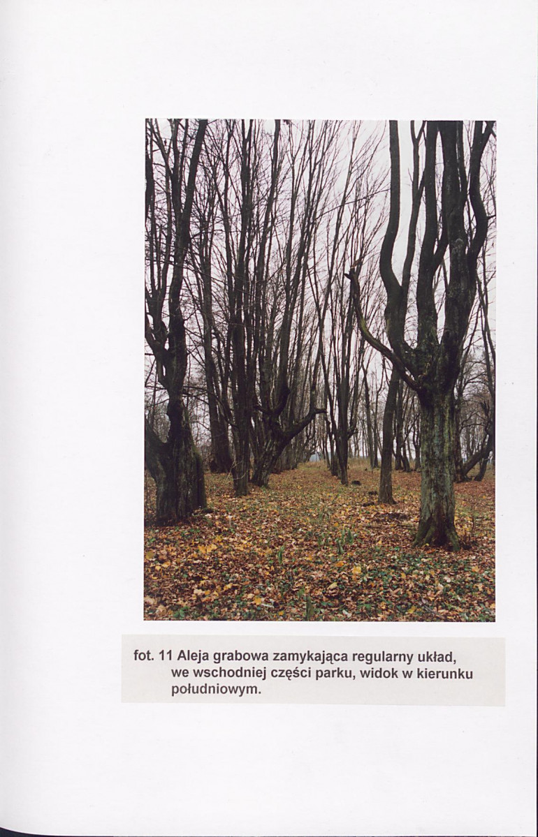 EP - Ewidencja parkowa, skan nr 56
