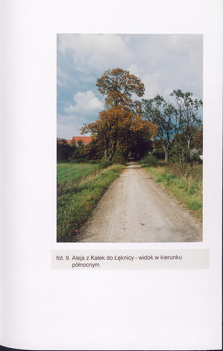 EP - Ewidencja parkowa, skan nr 51