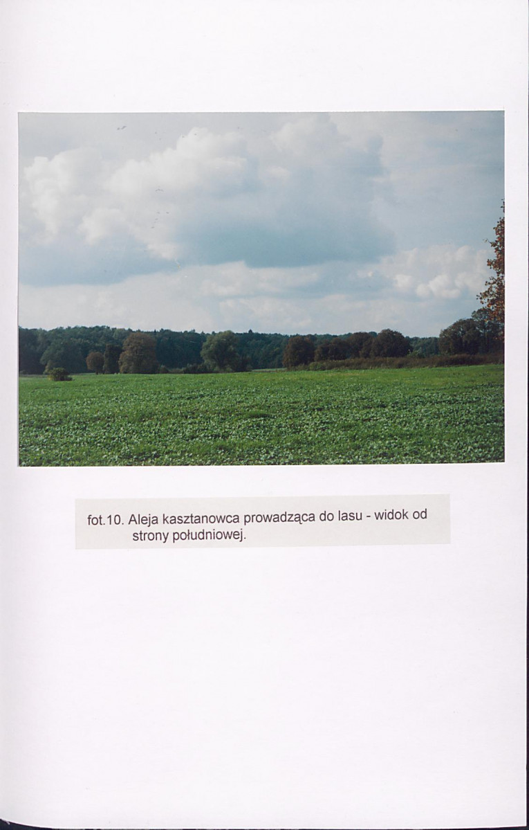 EP - Ewidencja parkowa, skan nr 52