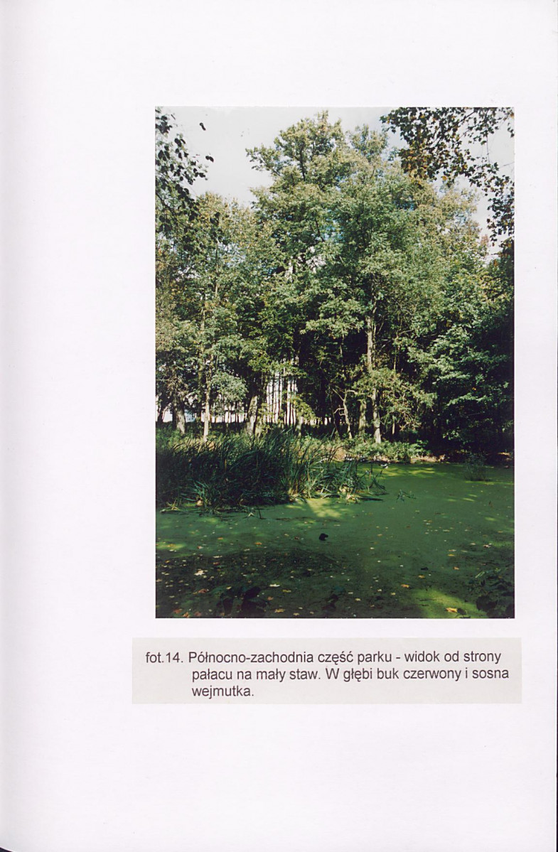 EP - Ewidencja parkowa, skan nr 55