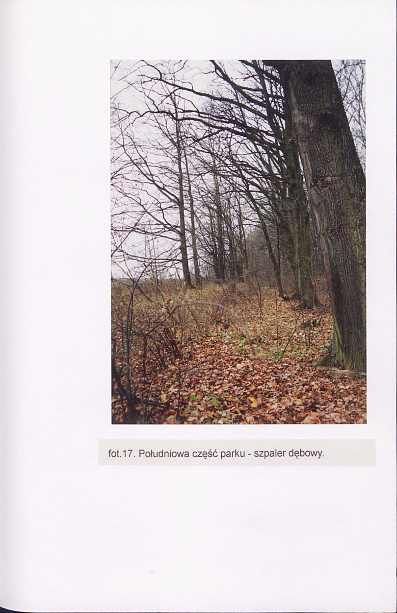 EP - Ewidencja parkowa, skan nr 58