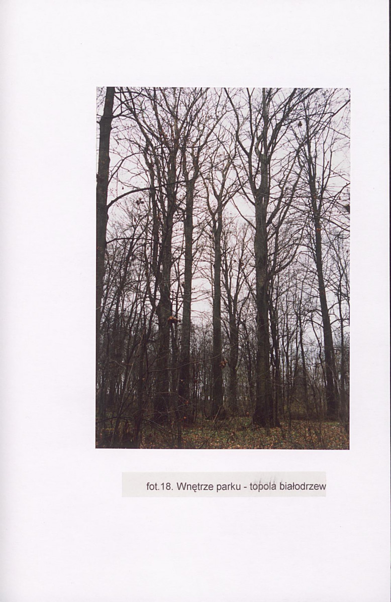 EP - Ewidencja parkowa, skan nr 59