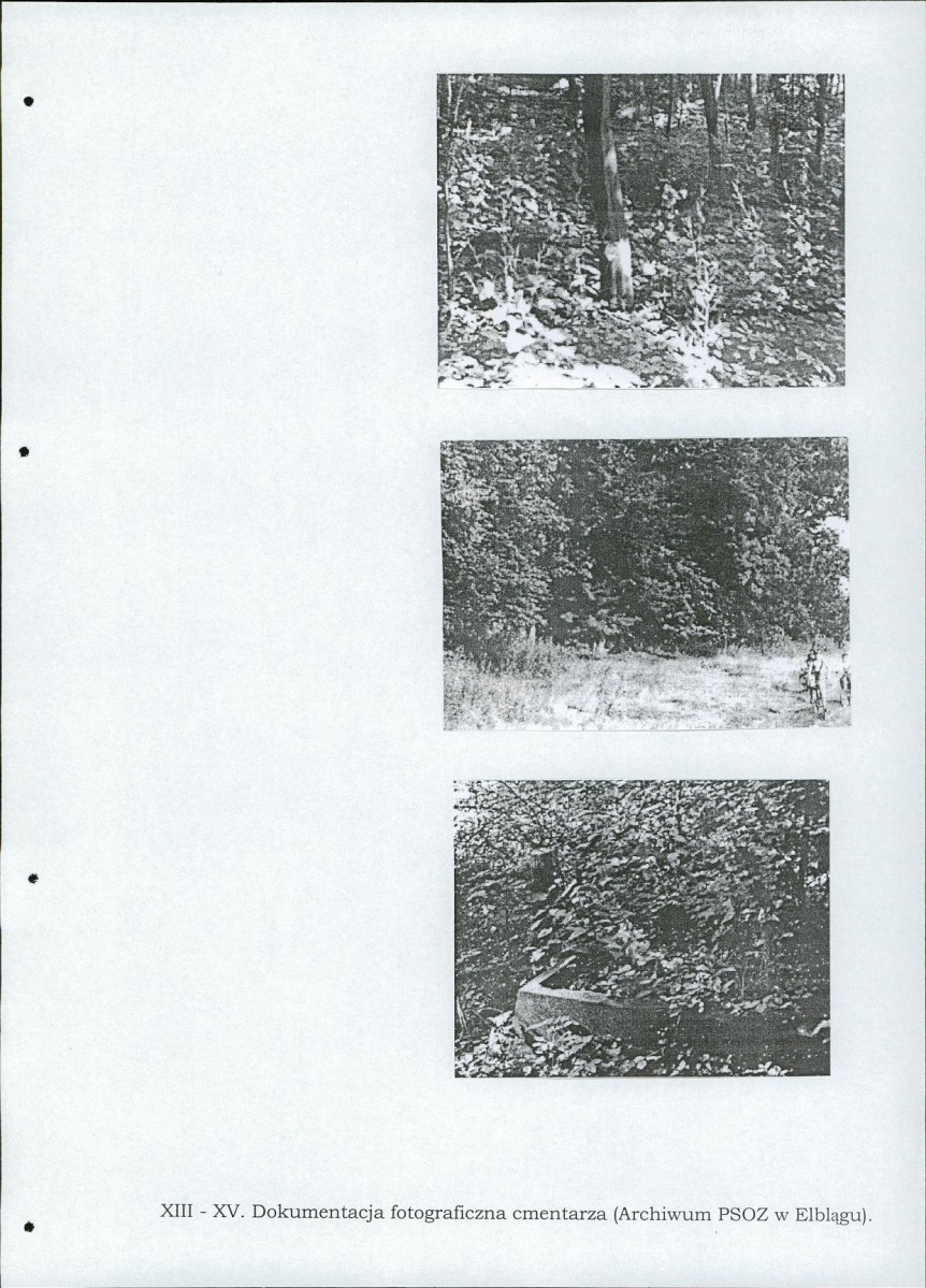 EP - Ewidencja parkowa, skan nr 59