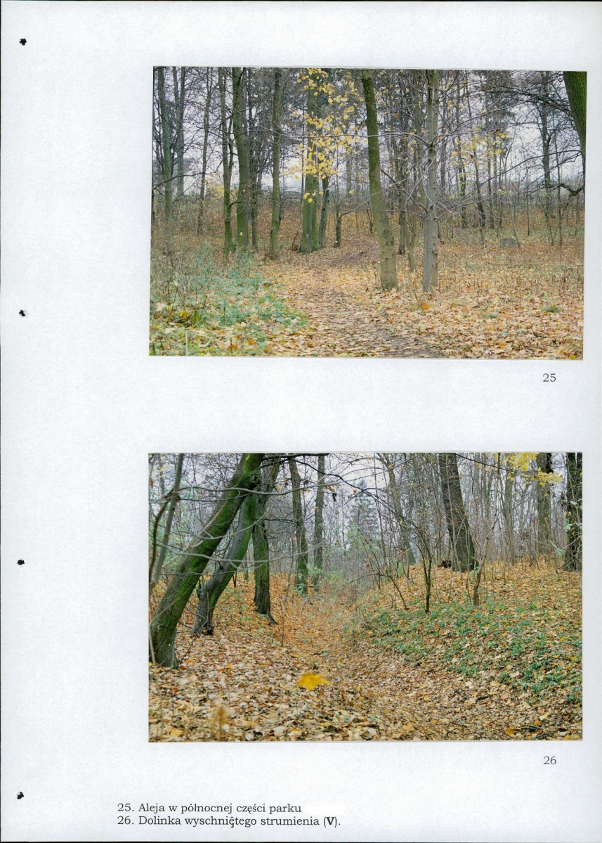 EP - Ewidencja parkowa, skan nr 96