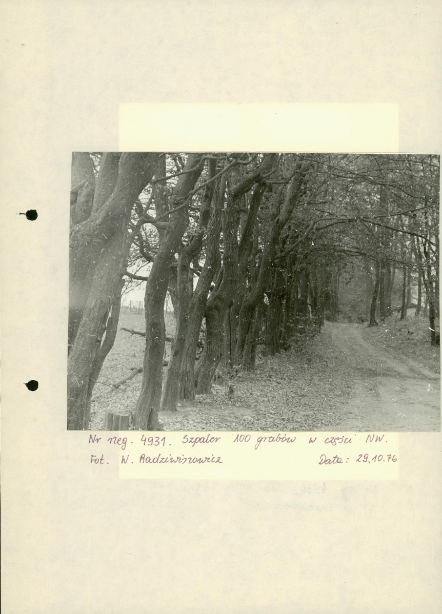 Ewidencja parkowa, skan nr 10