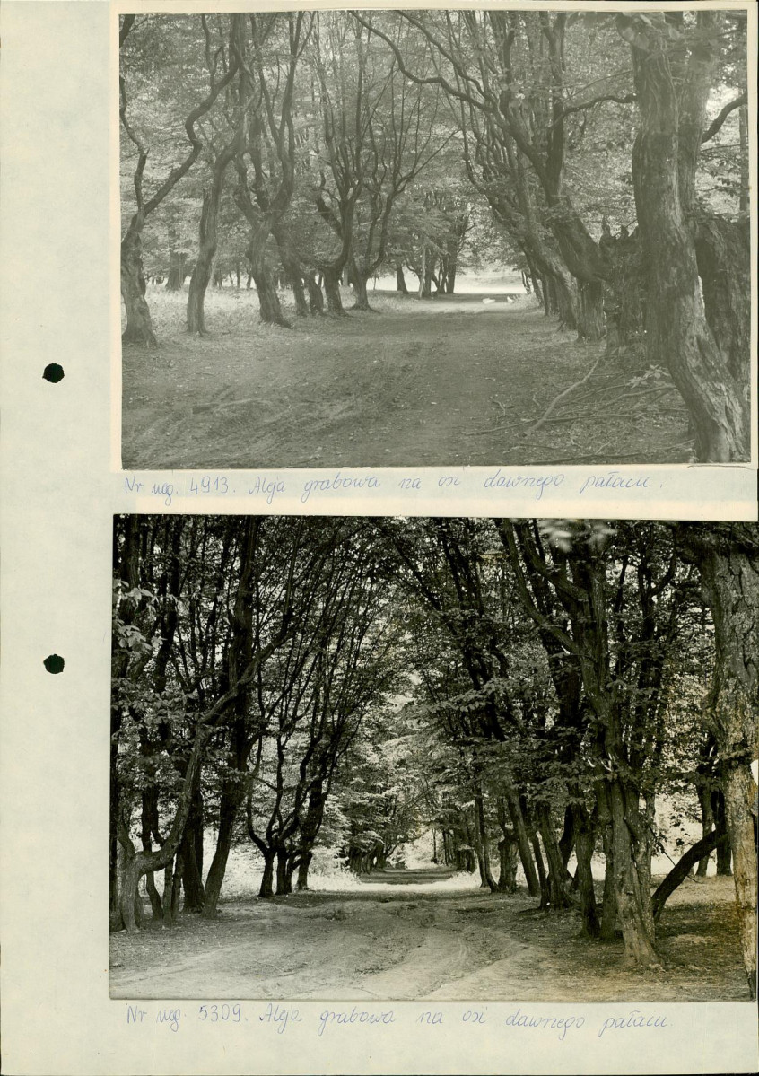 Ewidencja parkowa, skan nr 14