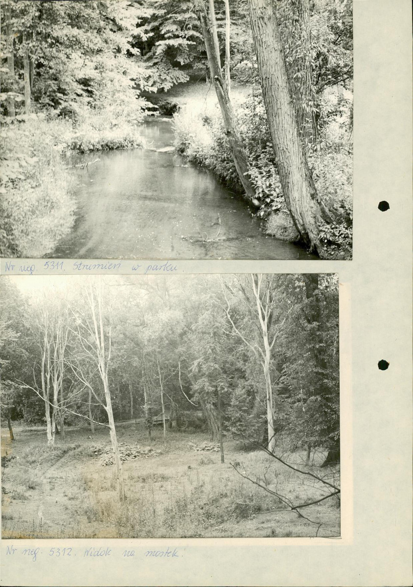 Ewidencja parkowa, skan nr 15