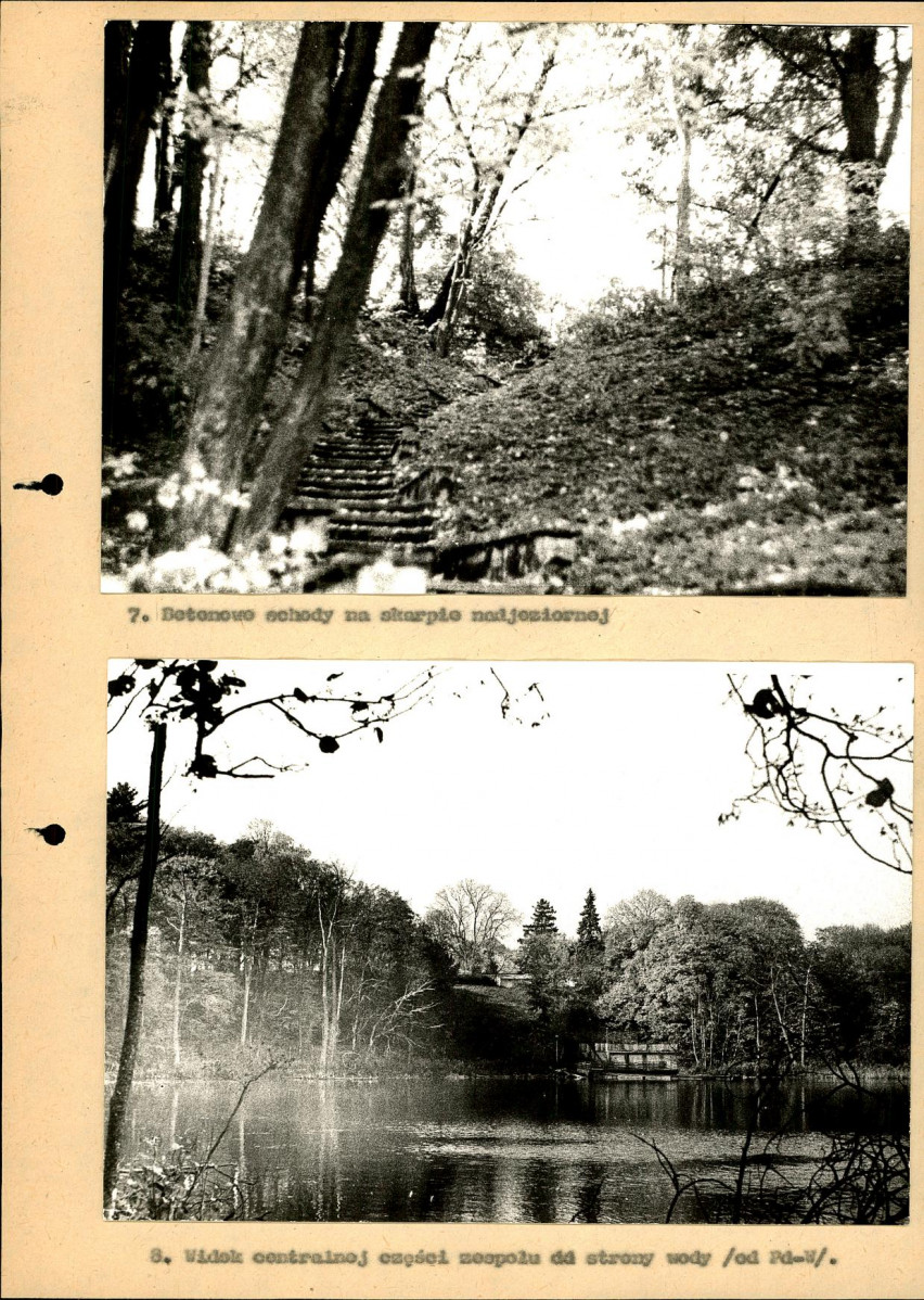 Ewidencja parkowa, skan nr 36