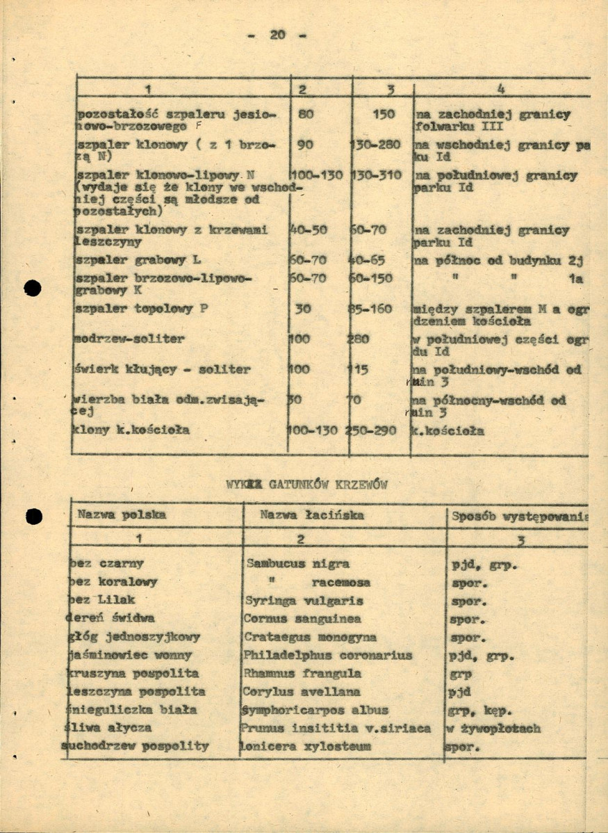 Ewidencja parkowa, skan nr 31