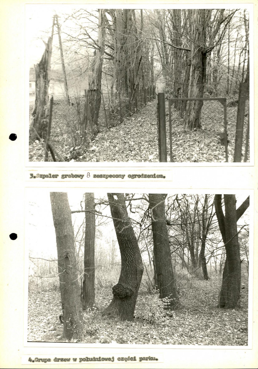 EP - Ewidencja parkowa, skan nr 39