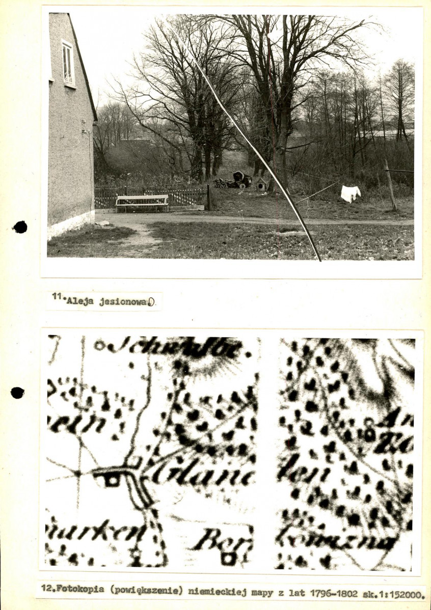 EP - Ewidencja parkowa, skan nr 43