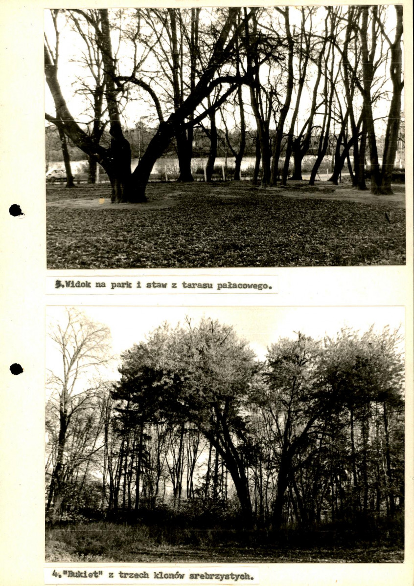 Ewidencja parkowa, skan nr 37