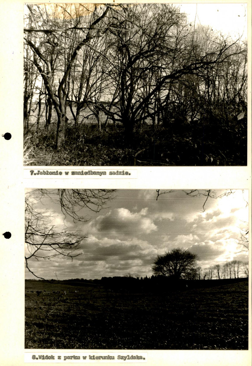 Ewidencja parkowa, skan nr 40