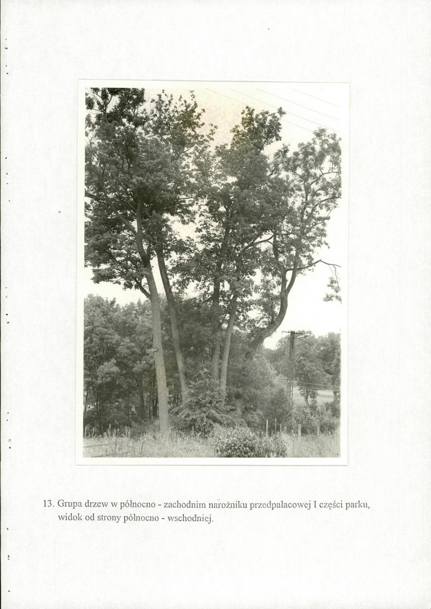 EP - Ewidencja parkowa, skan nr 44