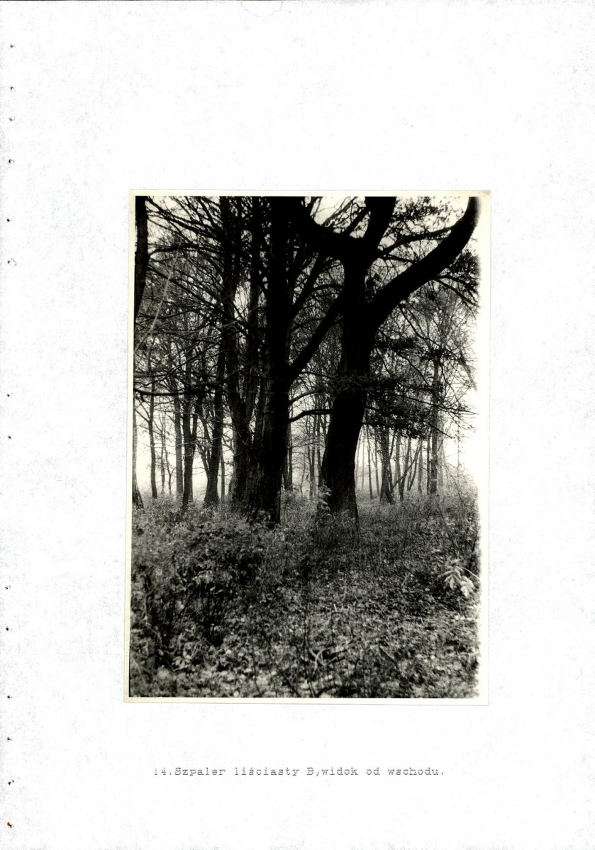 Ewidencja parkowa, skan nr 38