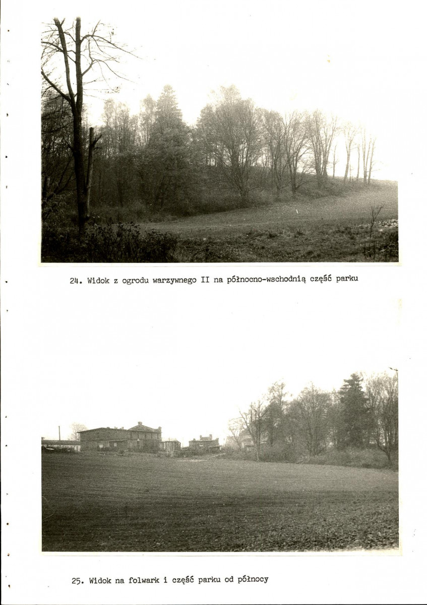 Ewidencja parkowa, skan nr 45