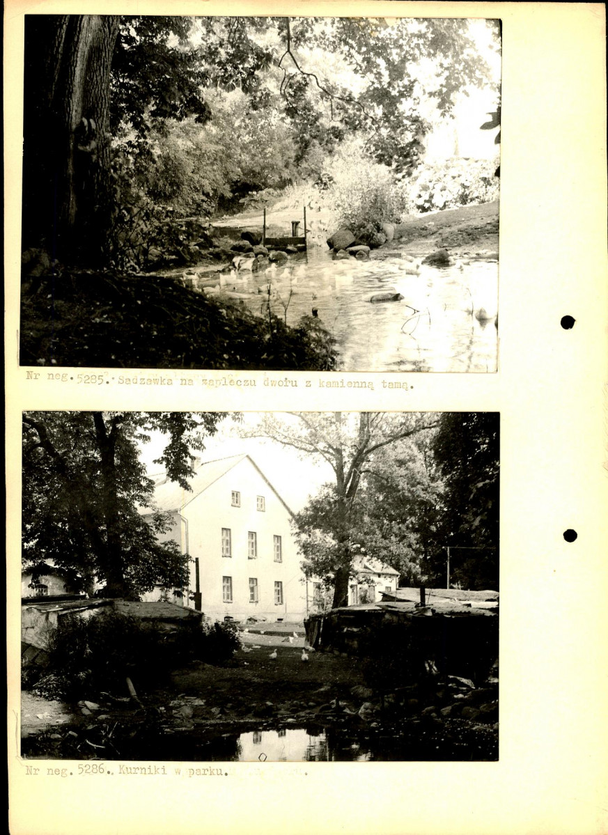 Ewidencja parkowa, skan nr 12