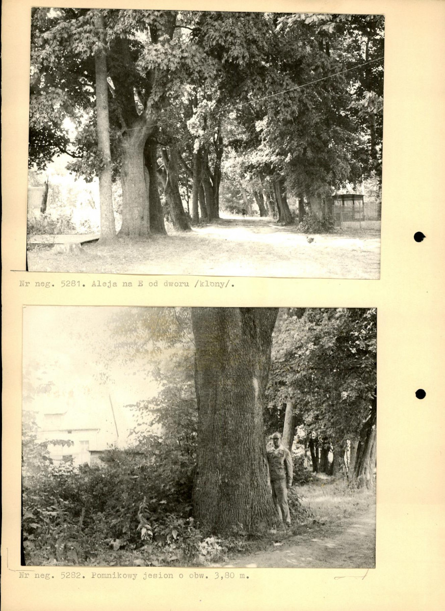 Ewidencja parkowa, skan nr 14