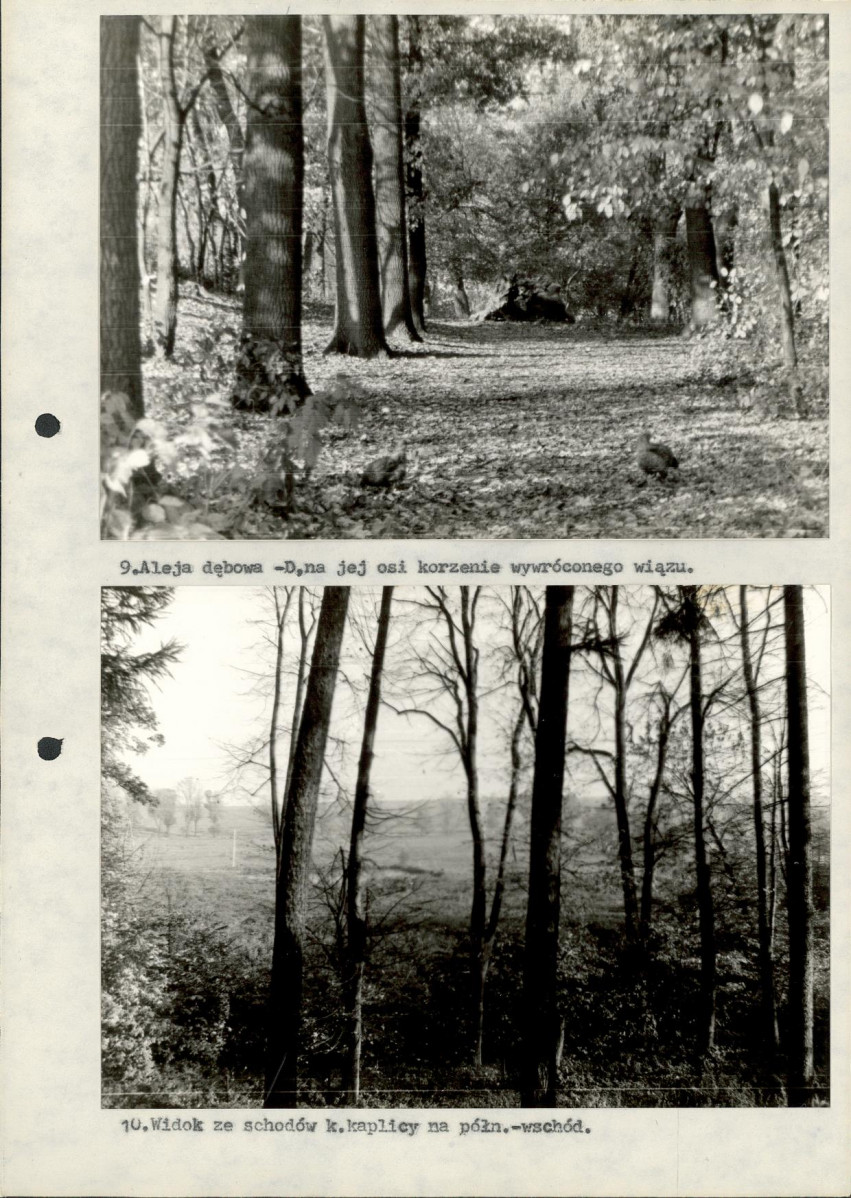Ewidencja parkowa, skan nr 37