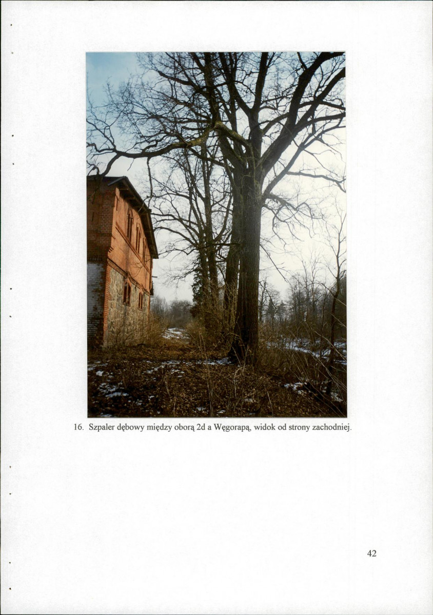 EP - Ewidencja parkowa, skan nr 49