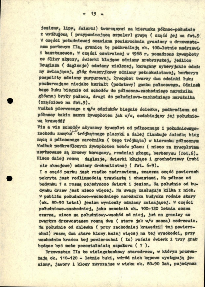 Ewidencja parkowa, skan nr 17