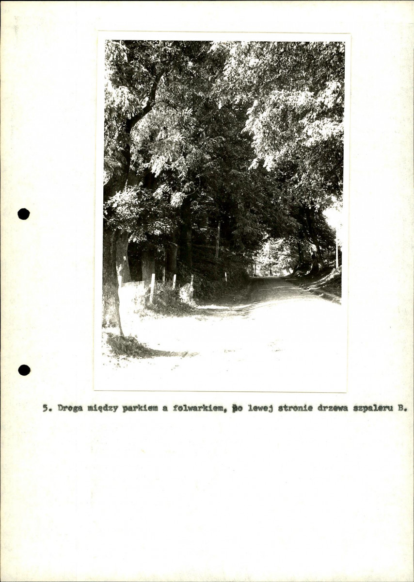 Ewidencja parkowa, skan nr 31