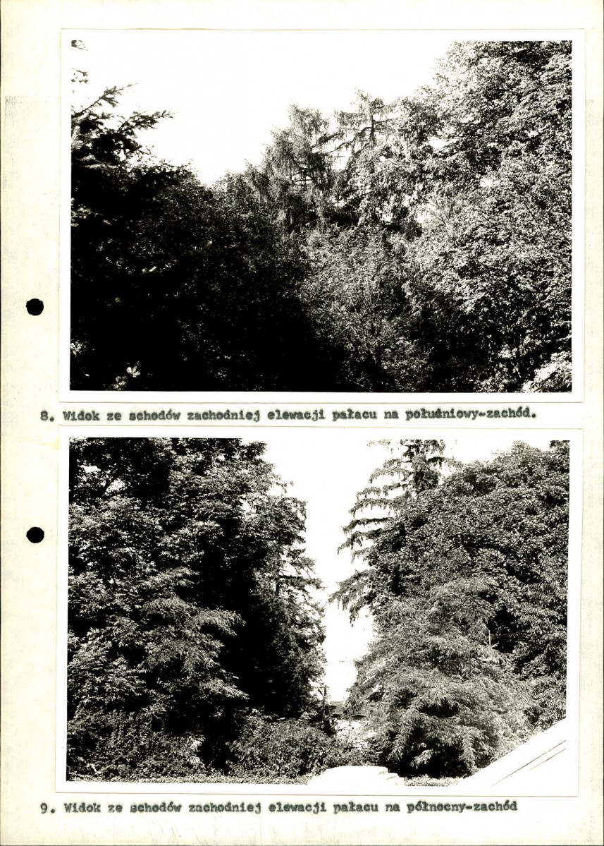 Ewidencja parkowa, skan nr 33